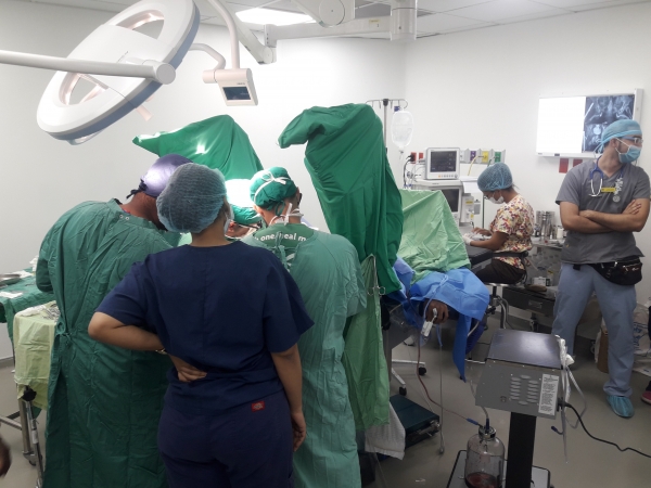 Hospital Moscoso Puello interviene pacientes con estrechez uretral